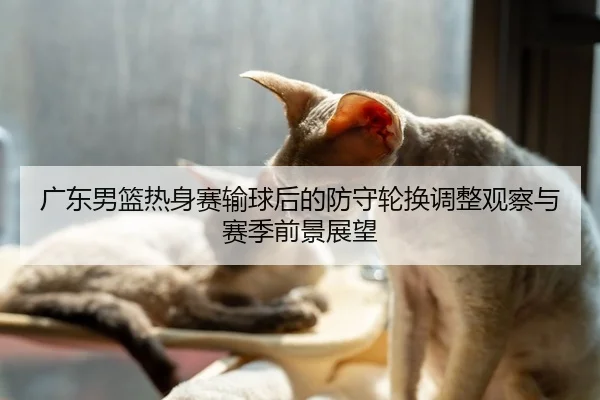 广东男篮热身赛输球后的防守轮换调整观察与赛季前景展望