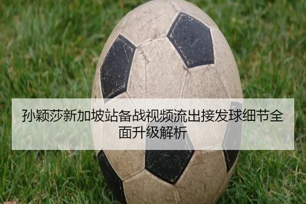 孙颖莎新加坡站备战视频流出接发球细节全面升级解析