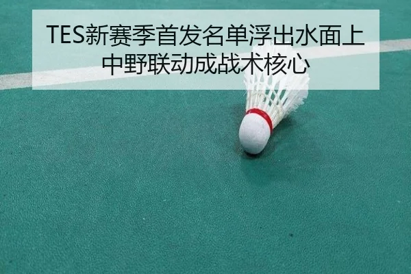 TES新赛季首发名单浮出水面上中野联动成战术核心